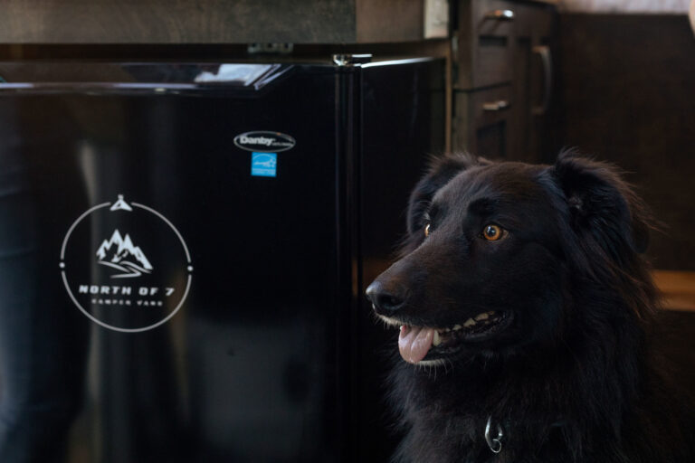 Camper Van Fridge with Dog